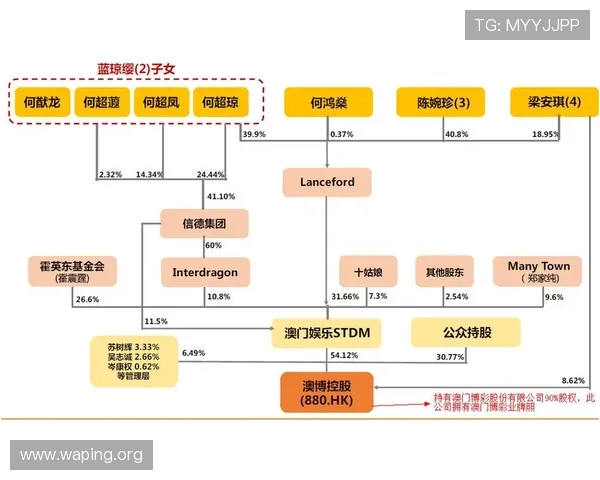 澳门娱乐城正规网址如何辨别，专业技巧助你识别合法安全的博彩网站